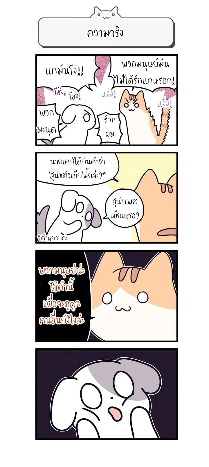 Cats Own The World 2-2