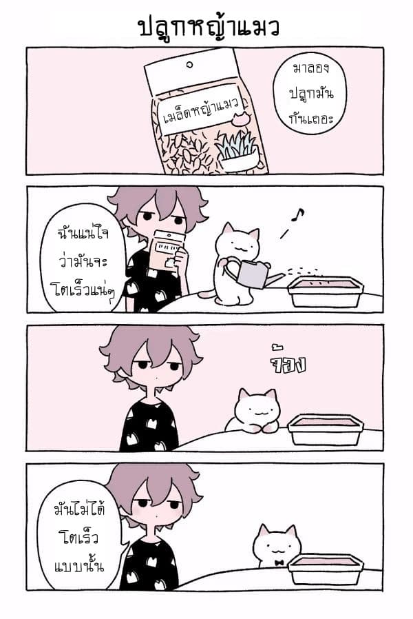 Wonder Cat Kyuu-chan คิวจัง แมวมหัศจรรย์ 5-5