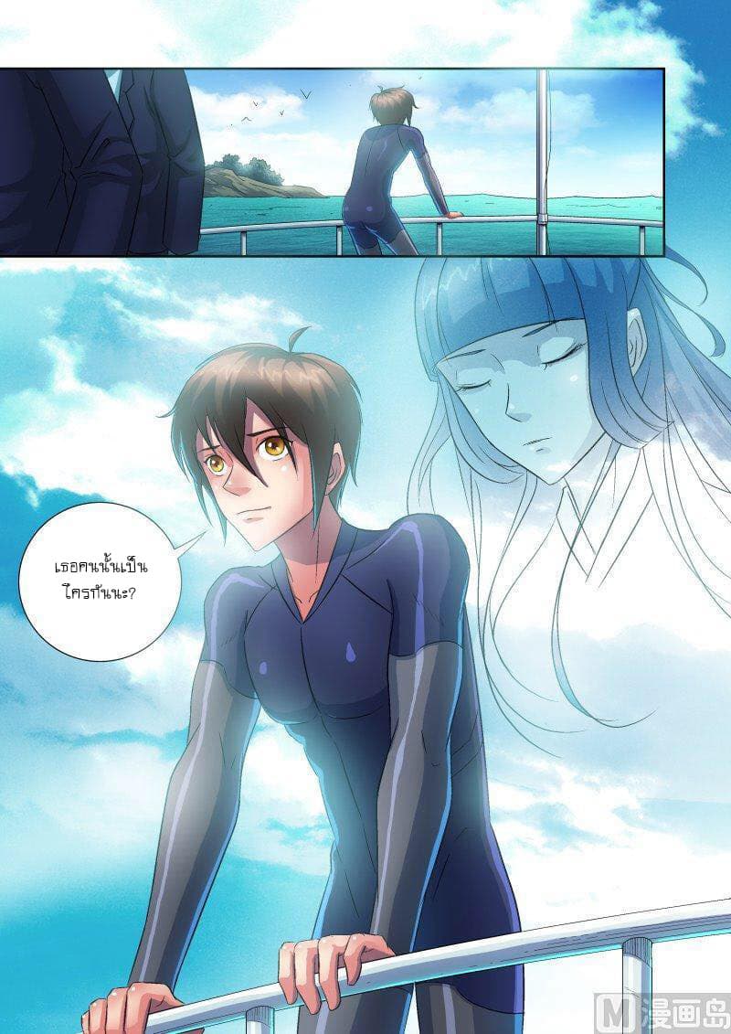 Shinto Partner 3-3