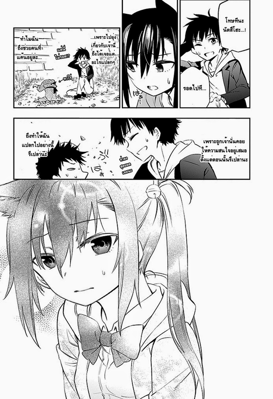 Urami Koi, Koi, Urami Koi 2-แม้แต่หนูถ้าจนมุมก็ยังกัดแมว