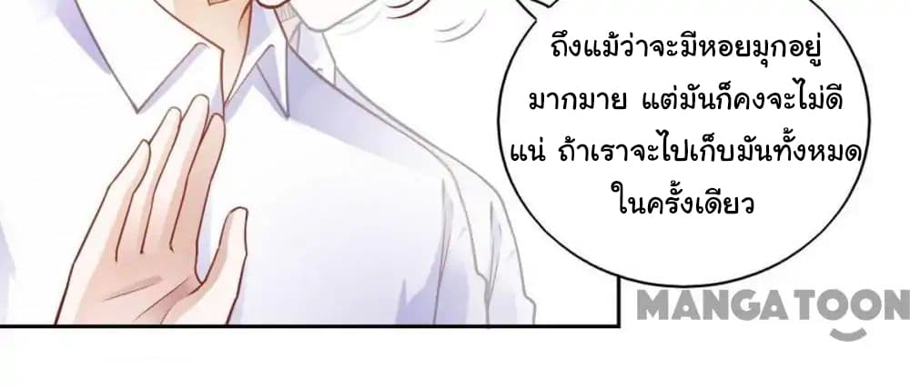 Almight Network 80-80
