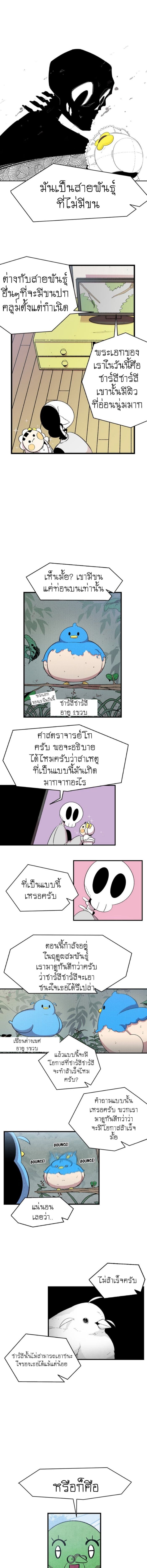 Metamorphosis 3-3