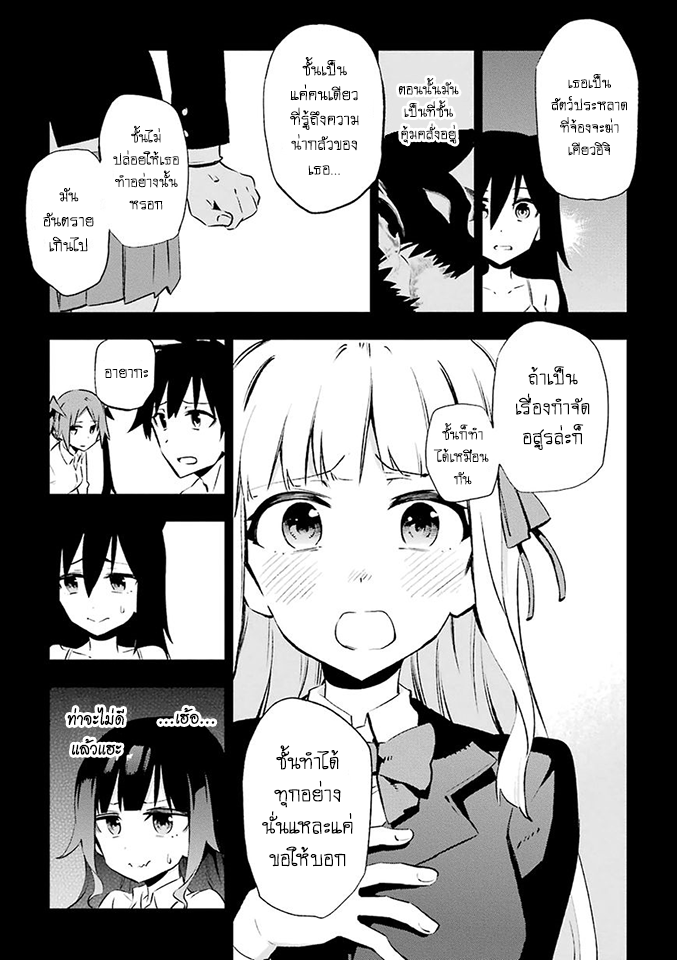 Urami Koi, Koi, Urami Koi 24-การประลองระหว่างวัวและแมว