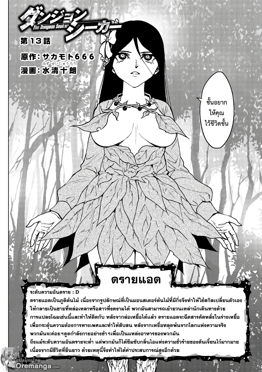 Dungeon Seeker 13-13