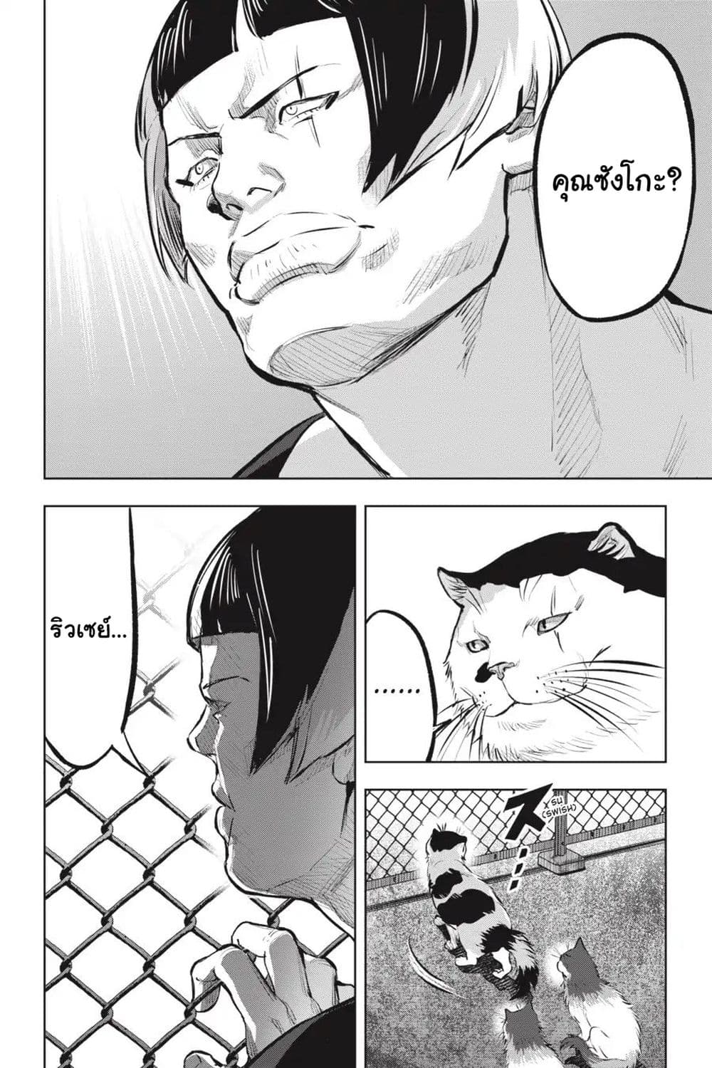 Nyankees 12-พร้อยลุย!