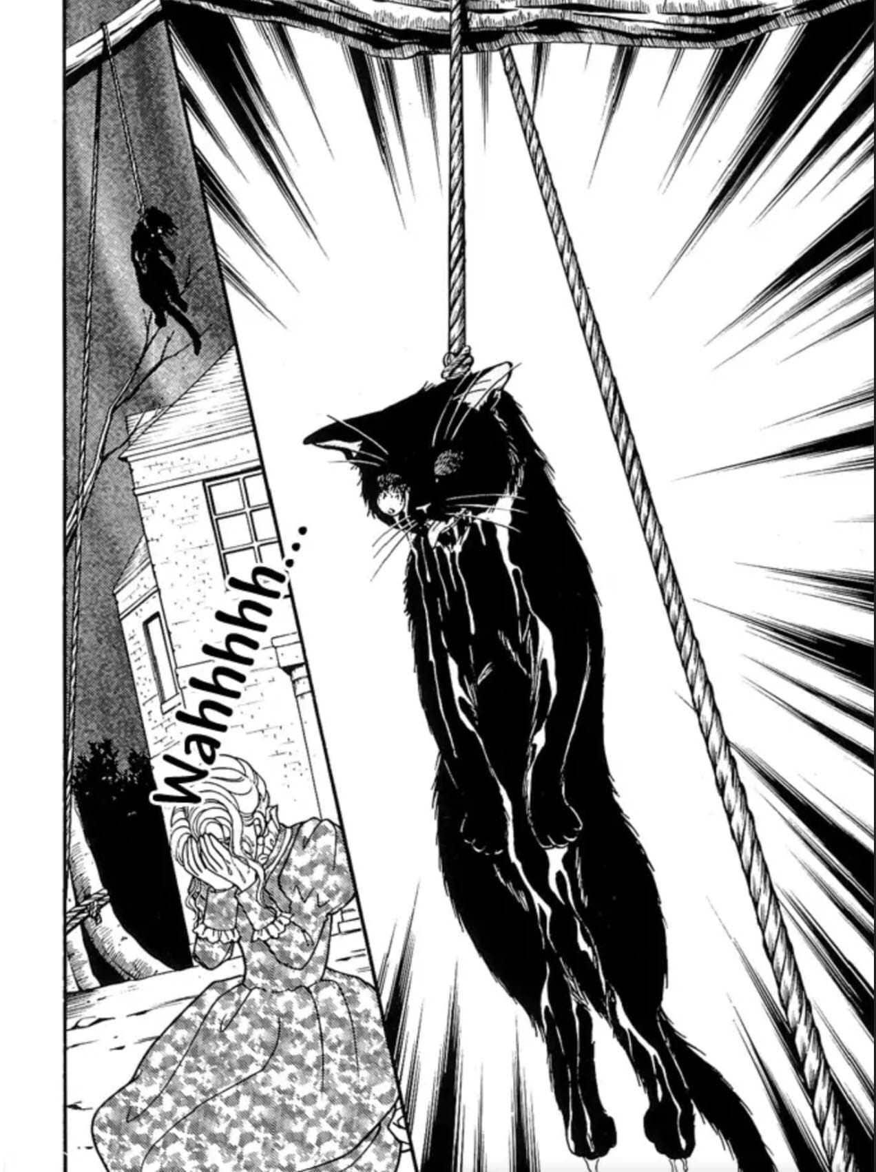 The Black Cat 1-1