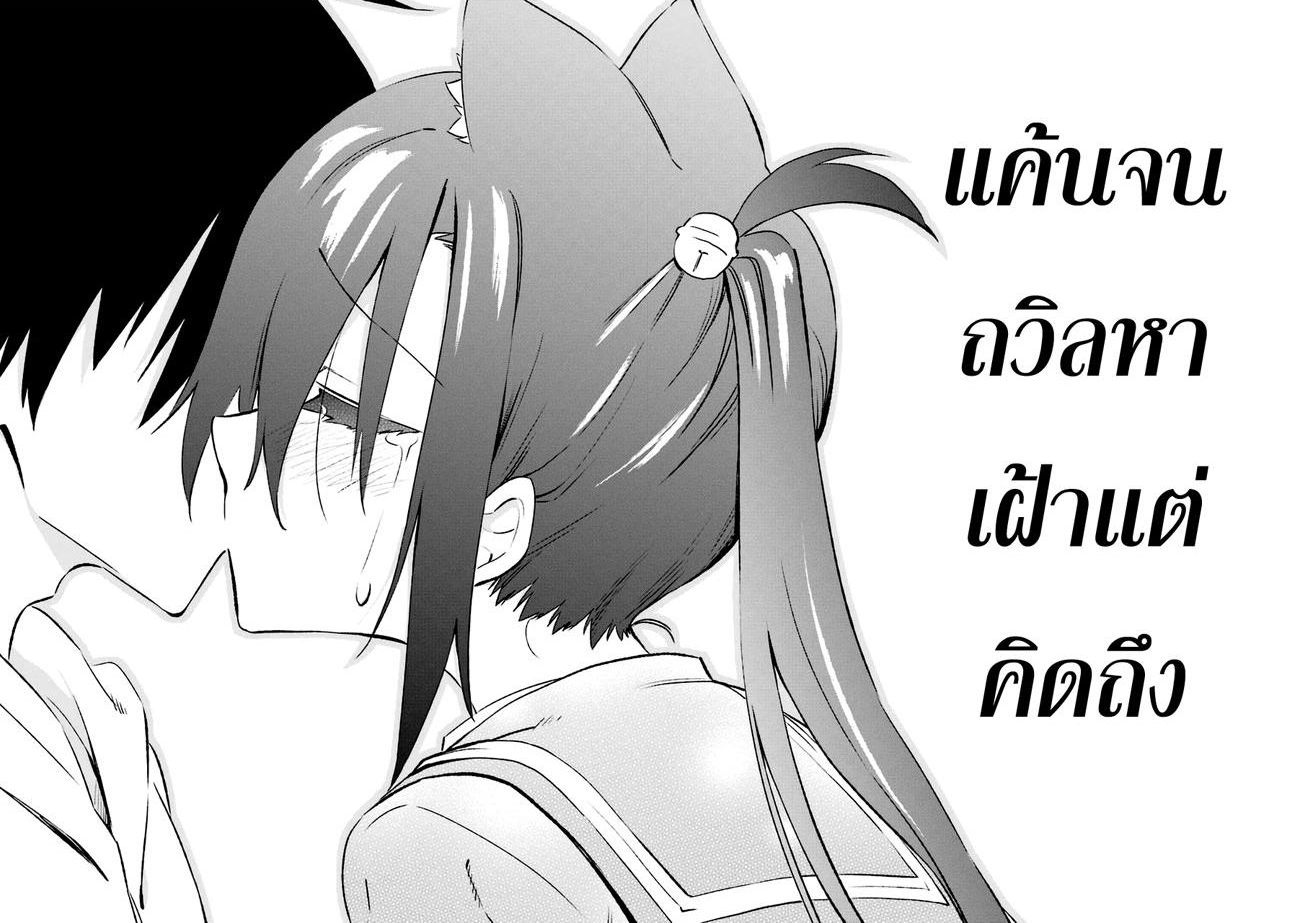 Urami Koi, Koi, Urami Koi 17-รักลูกแมว