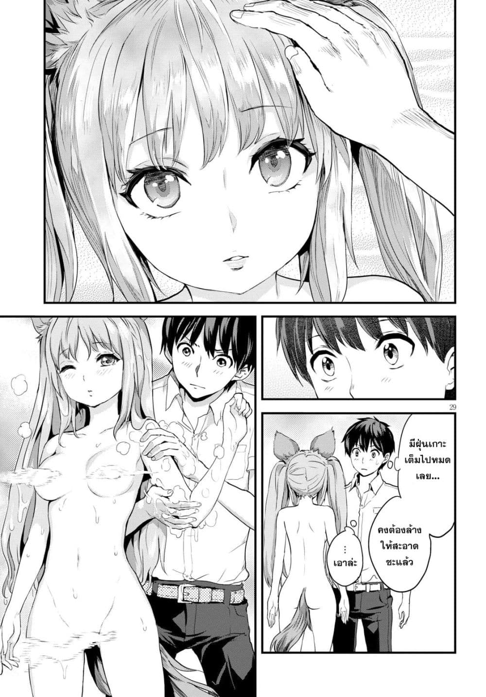 Alcafus 2-ดูแล