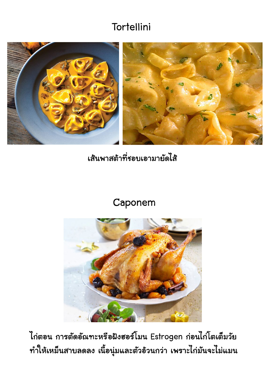 Arte 25-งานเลี้ยงของคาตาริน่า