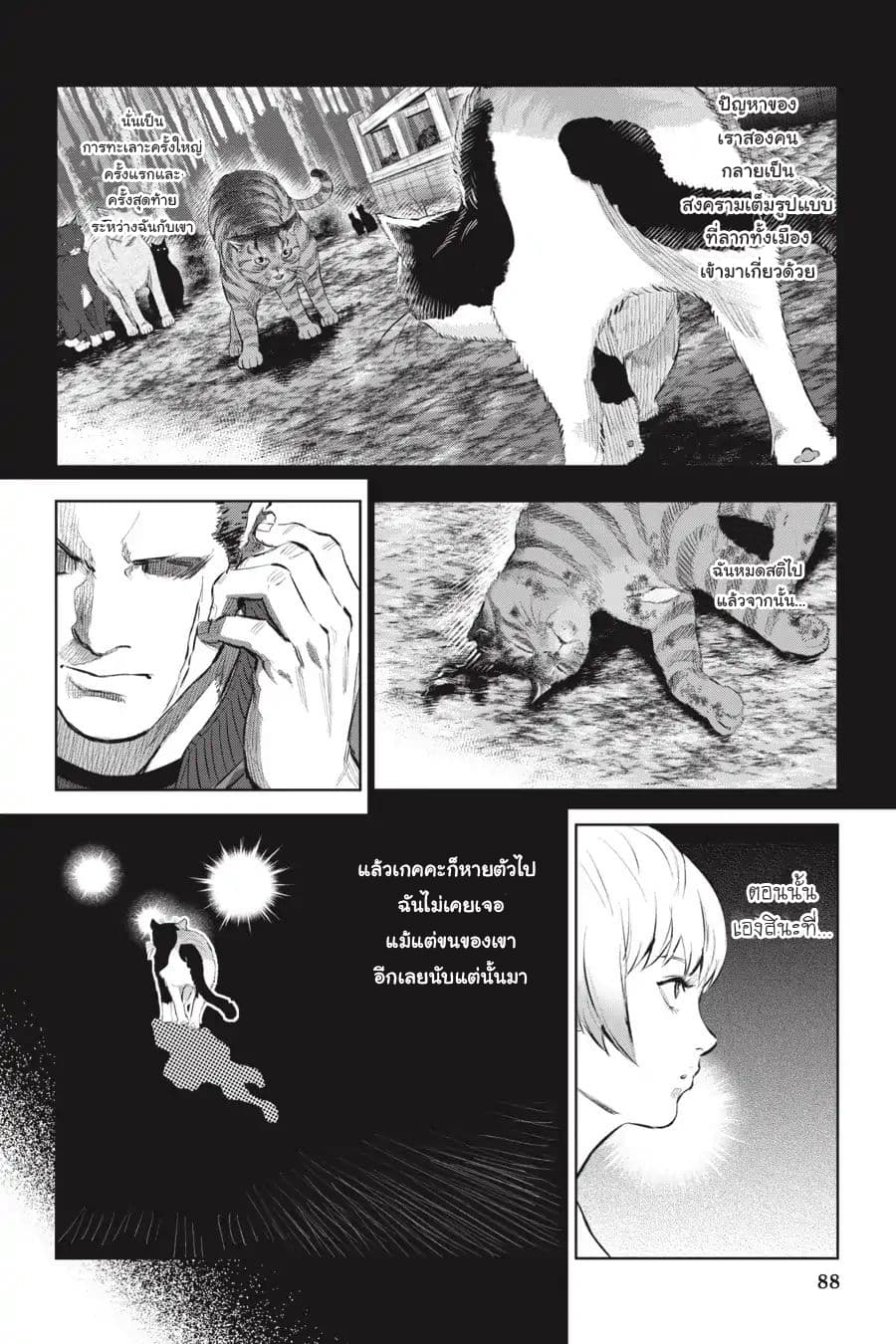 Nyankees 9-คอนเนคชั่น