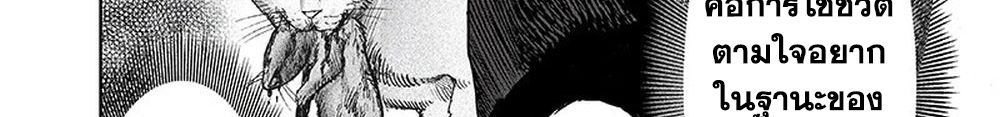One Punch Man 116-เล่น
