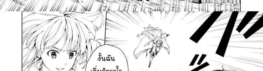 The Swordsman Called the Countless Swords Sorcerer 3-3