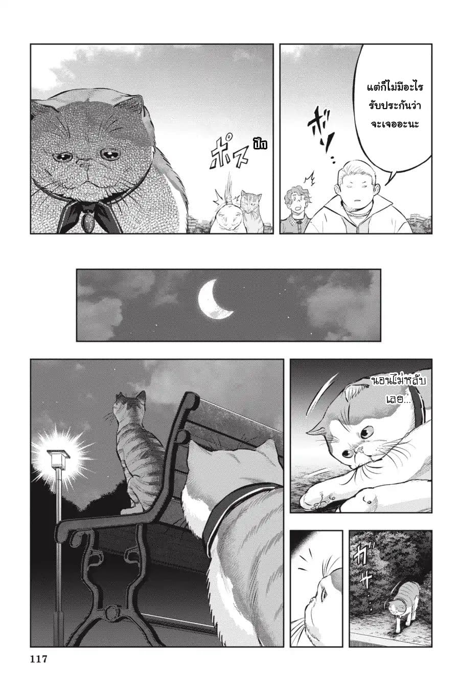 Nyankees 10-ลูกแมวหลงทาง