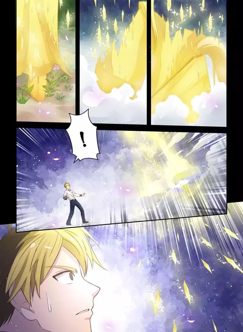 Holy Ancestor 1-1