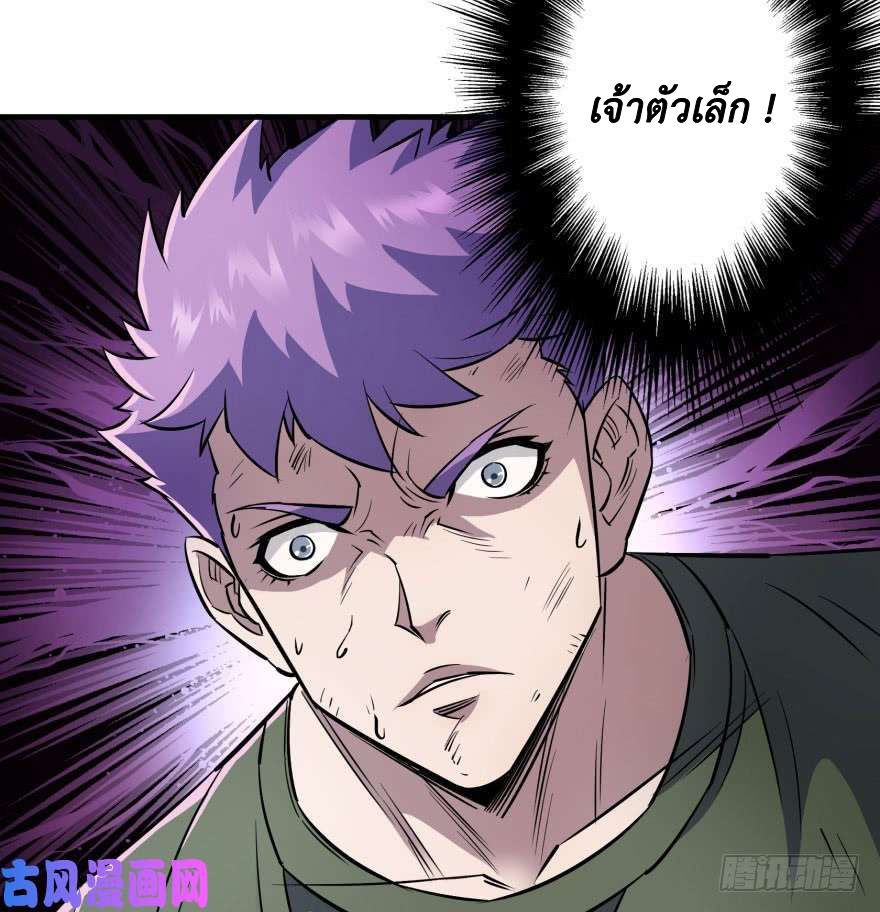 The Hunter 43-43