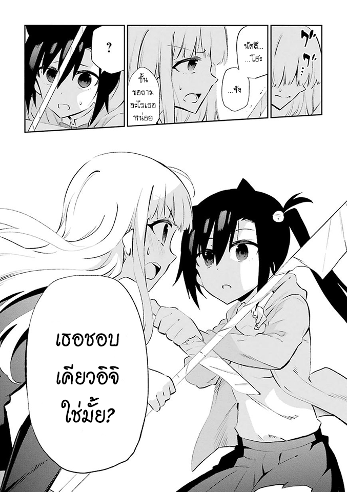 Urami Koi, Koi, Urami Koi 24-การประลองระหว่างวัวและแมว