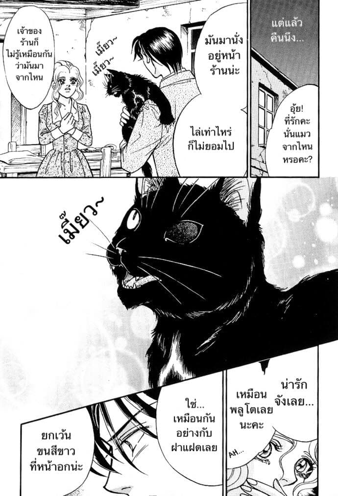 The Black Cat 1-1