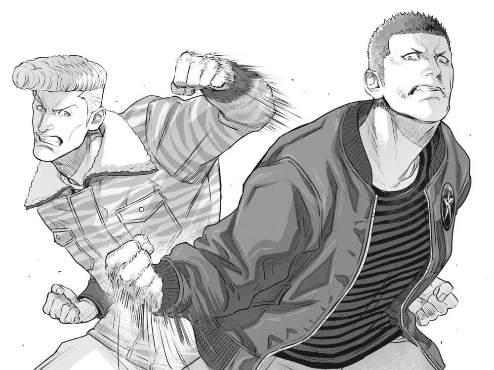 Nyankees 4-หมัดเหมียวคู่
