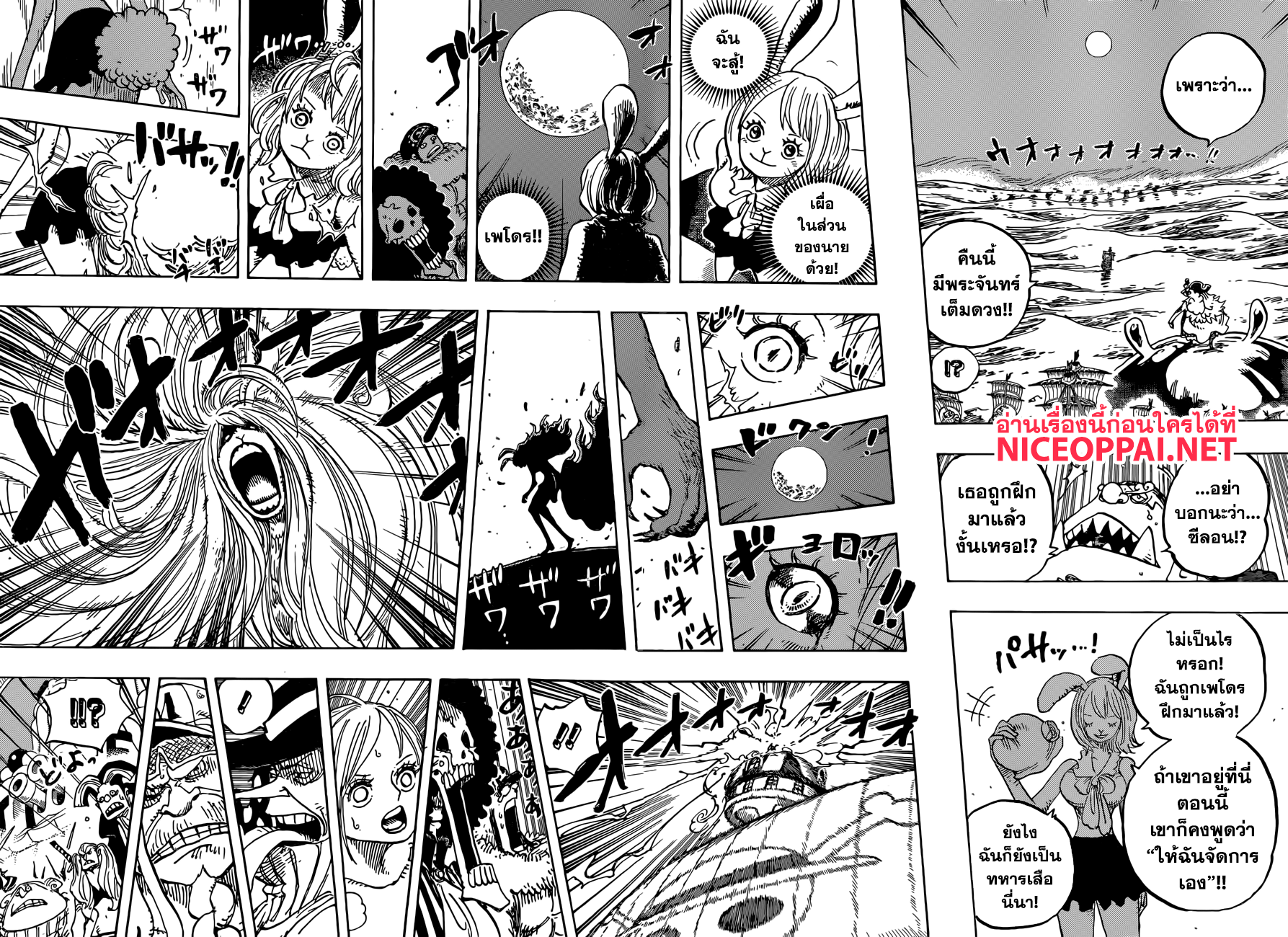 One Piece 888-สิงห์