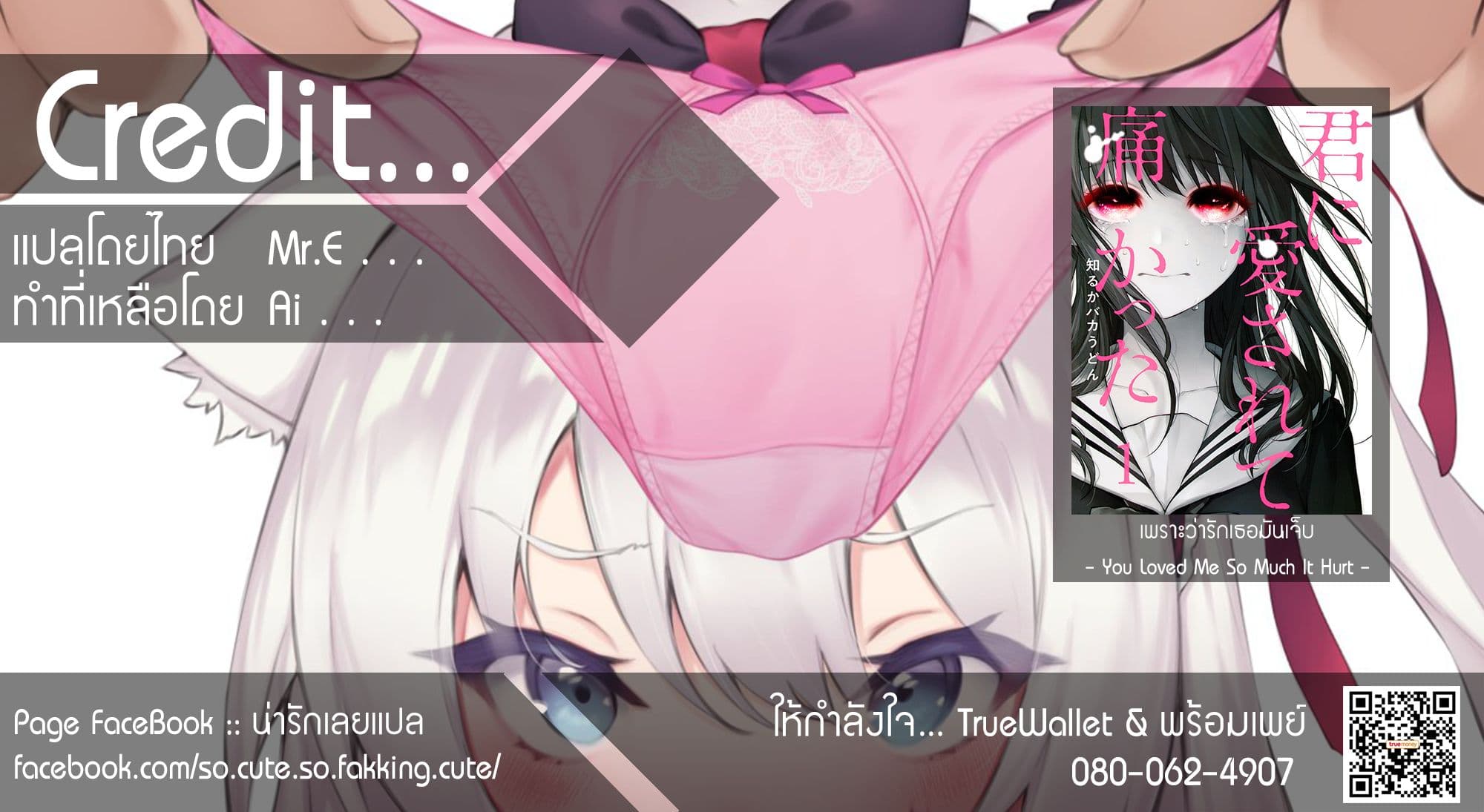 Kimi Ni Aisarete Itakatta เพราะว่ารักเธอมันเจ็บ 5-เพื่อน...