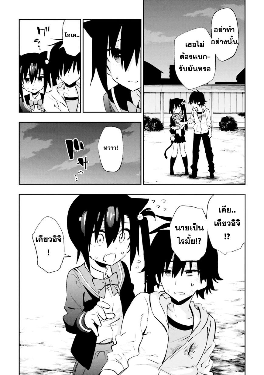 Urami Koi, Koi, Urami Koi 18-แมวที่เคียดแค้นความรัก