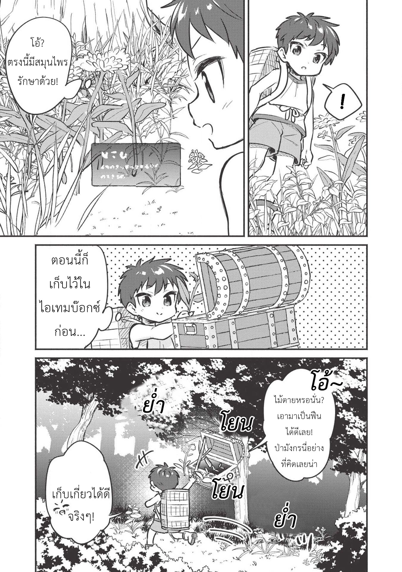 Kojiin Tamer 3-3