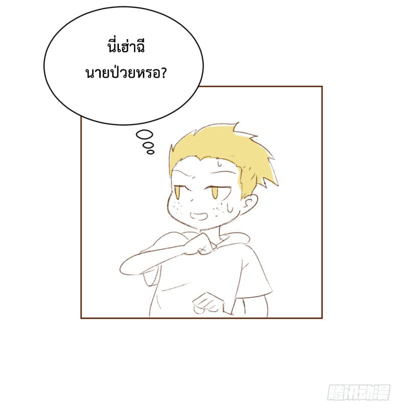 Player Max 1-1
