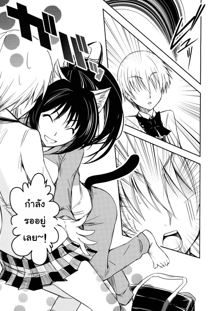 Yamanko! 3-ใครกันนะ? ใครคือเจ้าของสายที่หัวใจของพวกเราเชื่อมต่อกันนะ