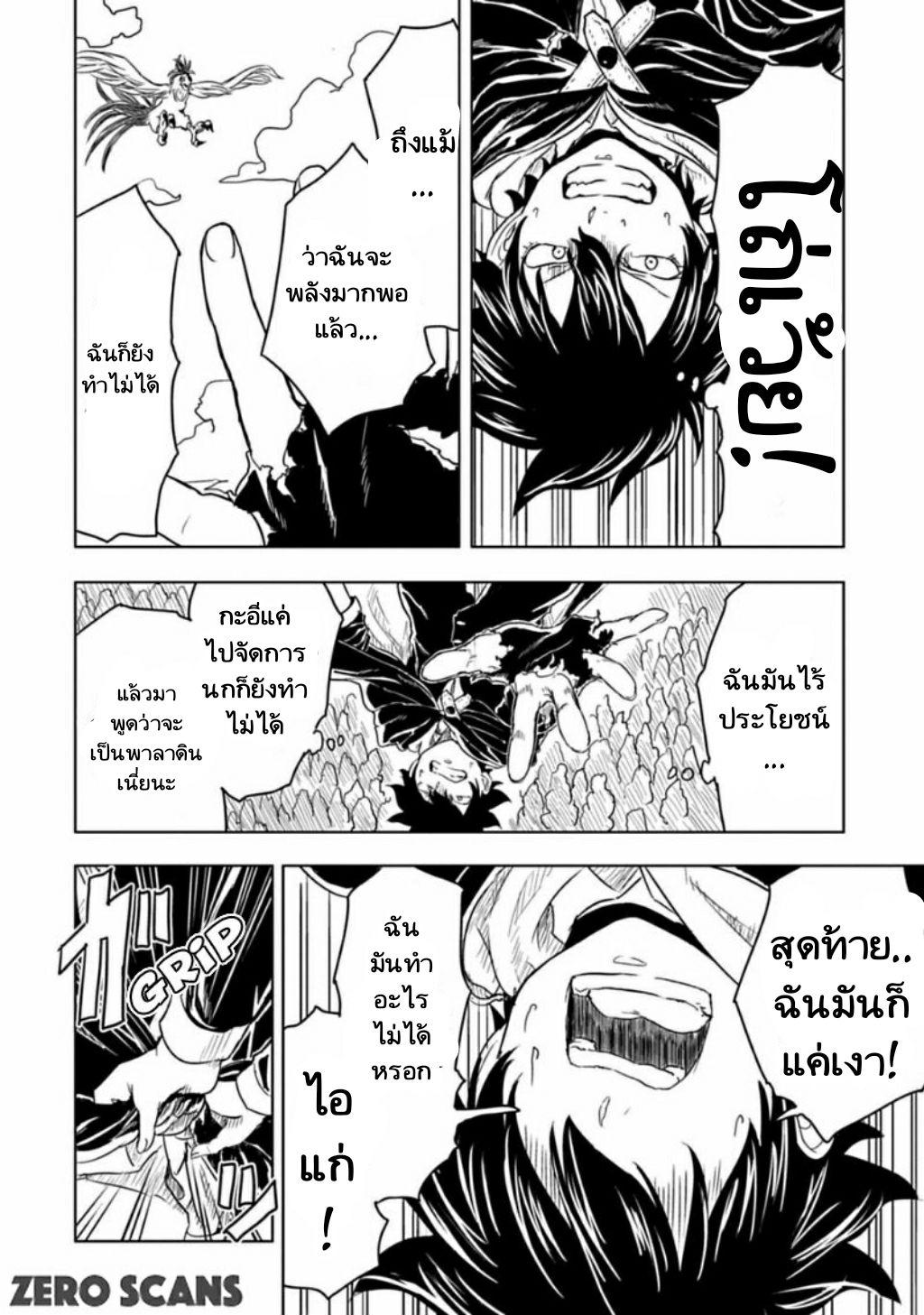 Kokuei no Junk 4-เลย์แมนVSพาลาดิน