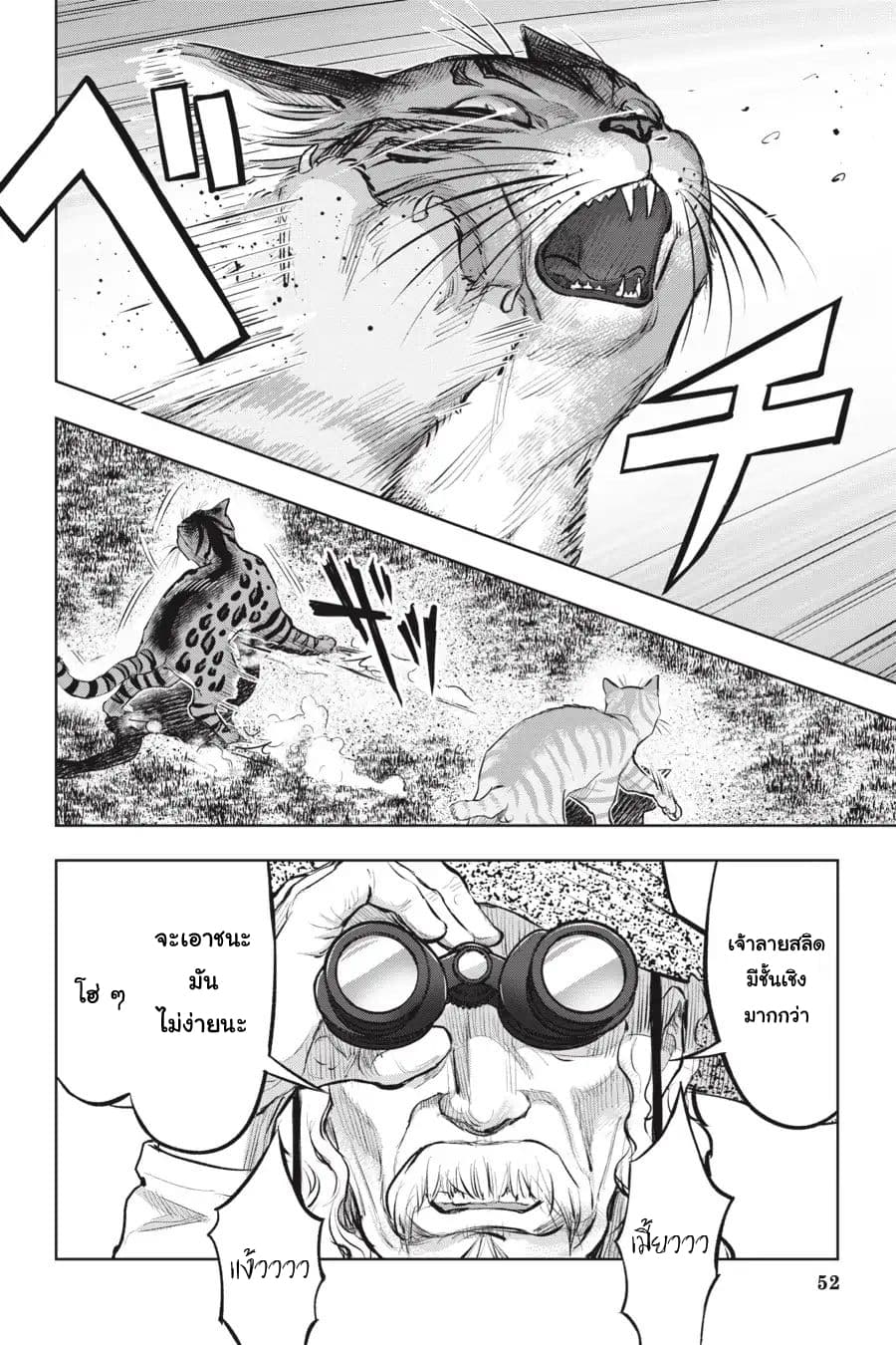 Nyankees 13-อ้วกก้อนขน