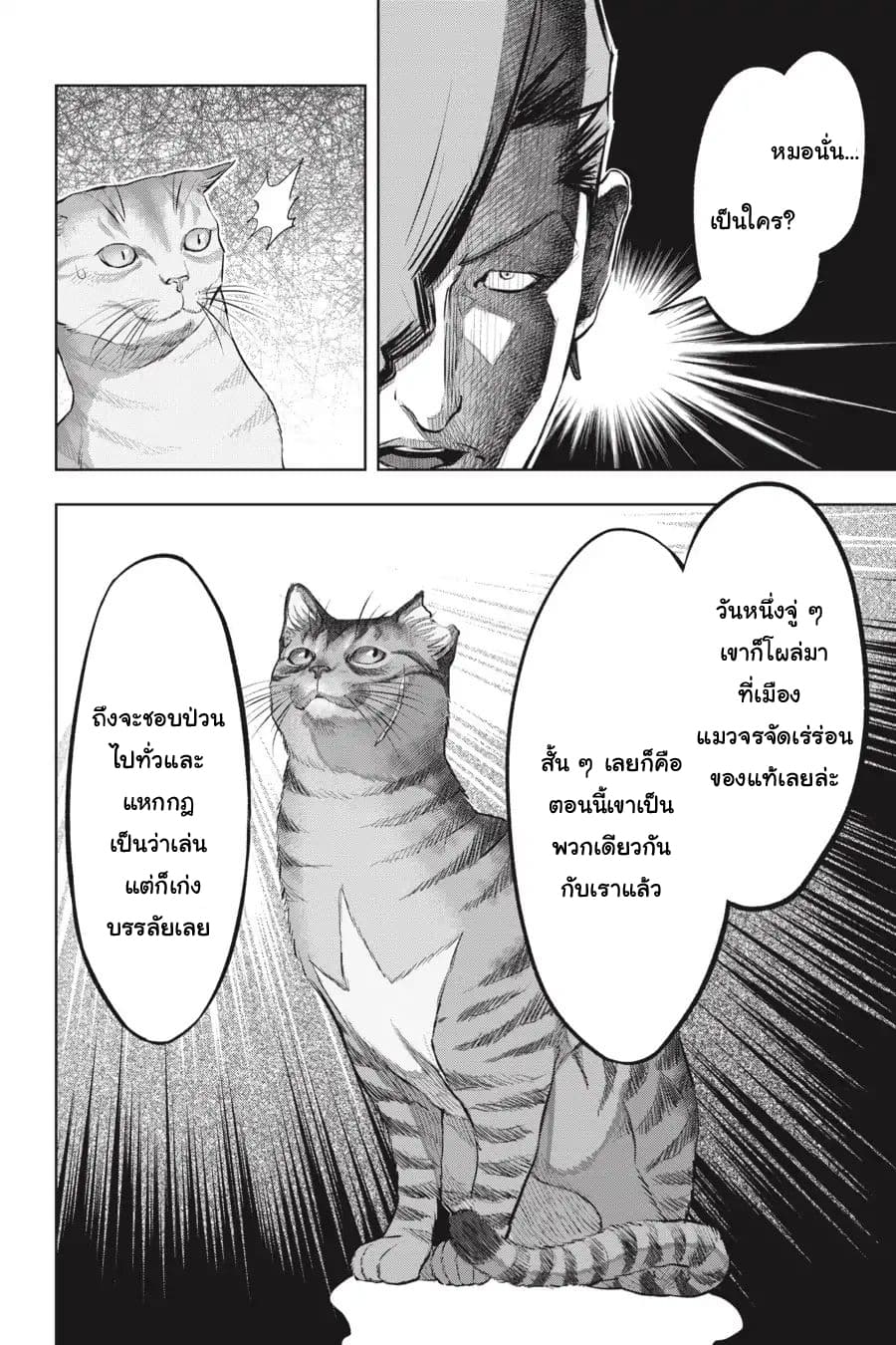 Nyankees 15-แมวสองพี่น้อง