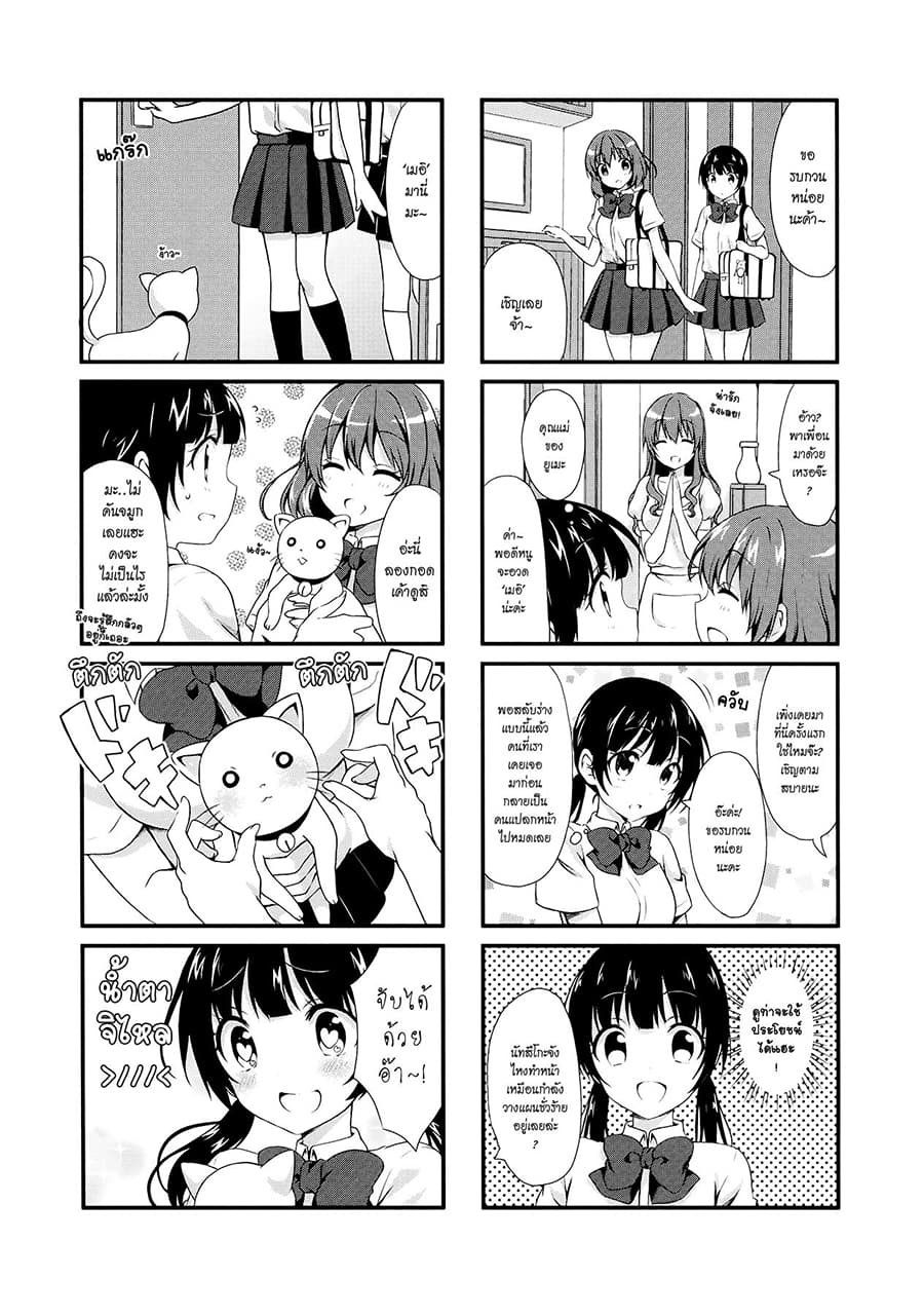 Swap ⇔ Swap 11-ภูมิแพ้
