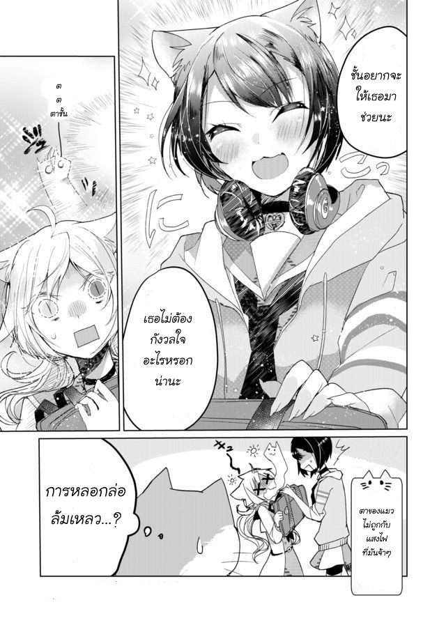 Nekomusume Shoukougun 6-6