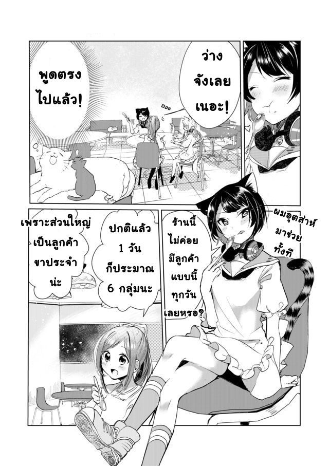 Nekomusume Shoukougun 9-9