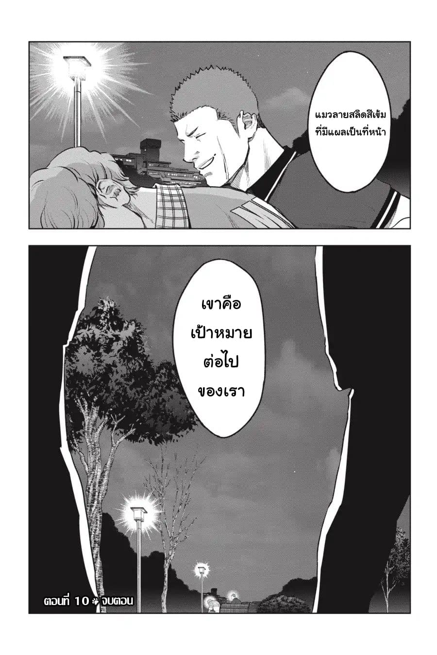 Nyankees 10-ลูกแมวหลงทาง