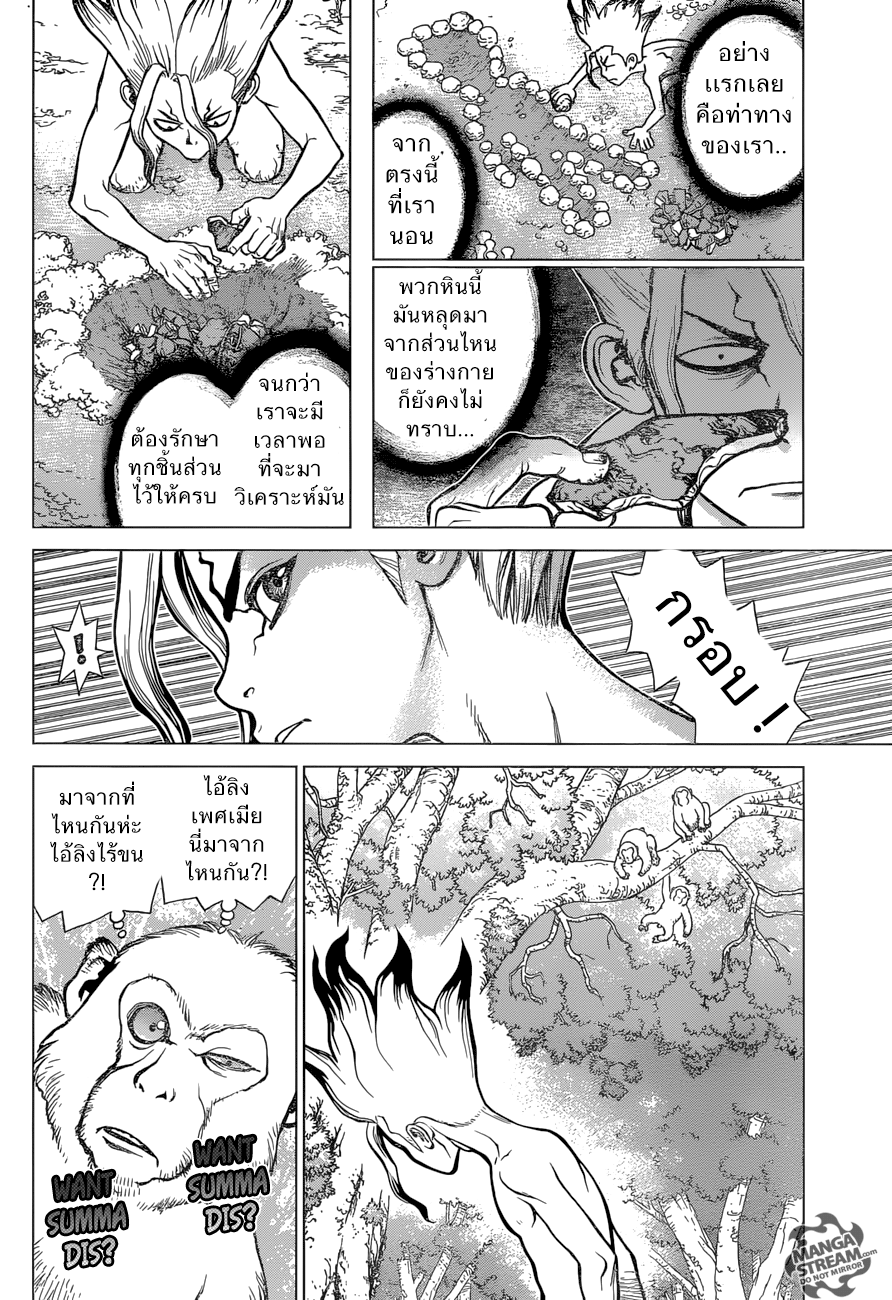 Dr.Stone 13-จุดเริ่มต้นเเห่งยุคหิน