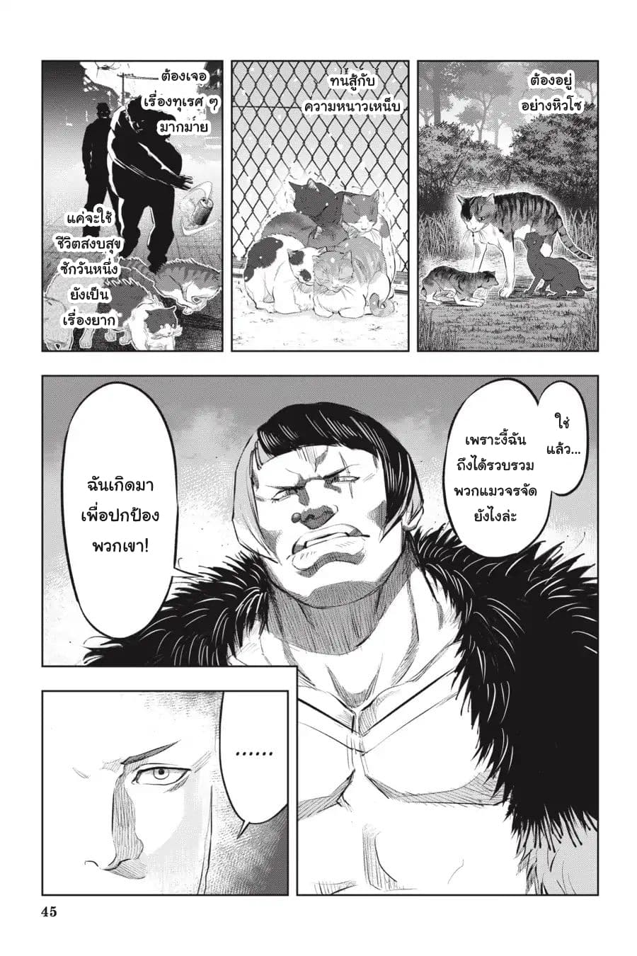Nyankees 8-วิถีชีวิตของแมว
