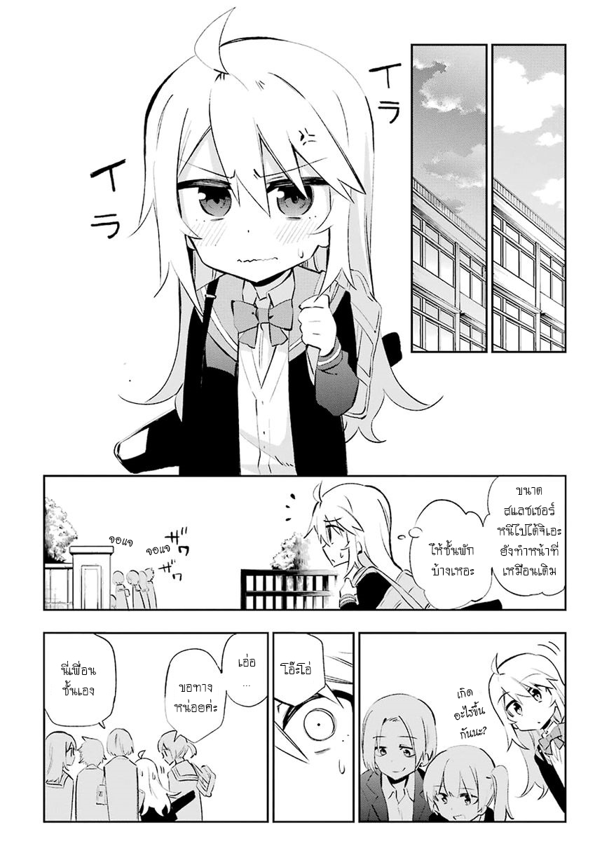 Urami Koi, Koi, Urami Koi 25-การประลองระหว่างวัวและแมว