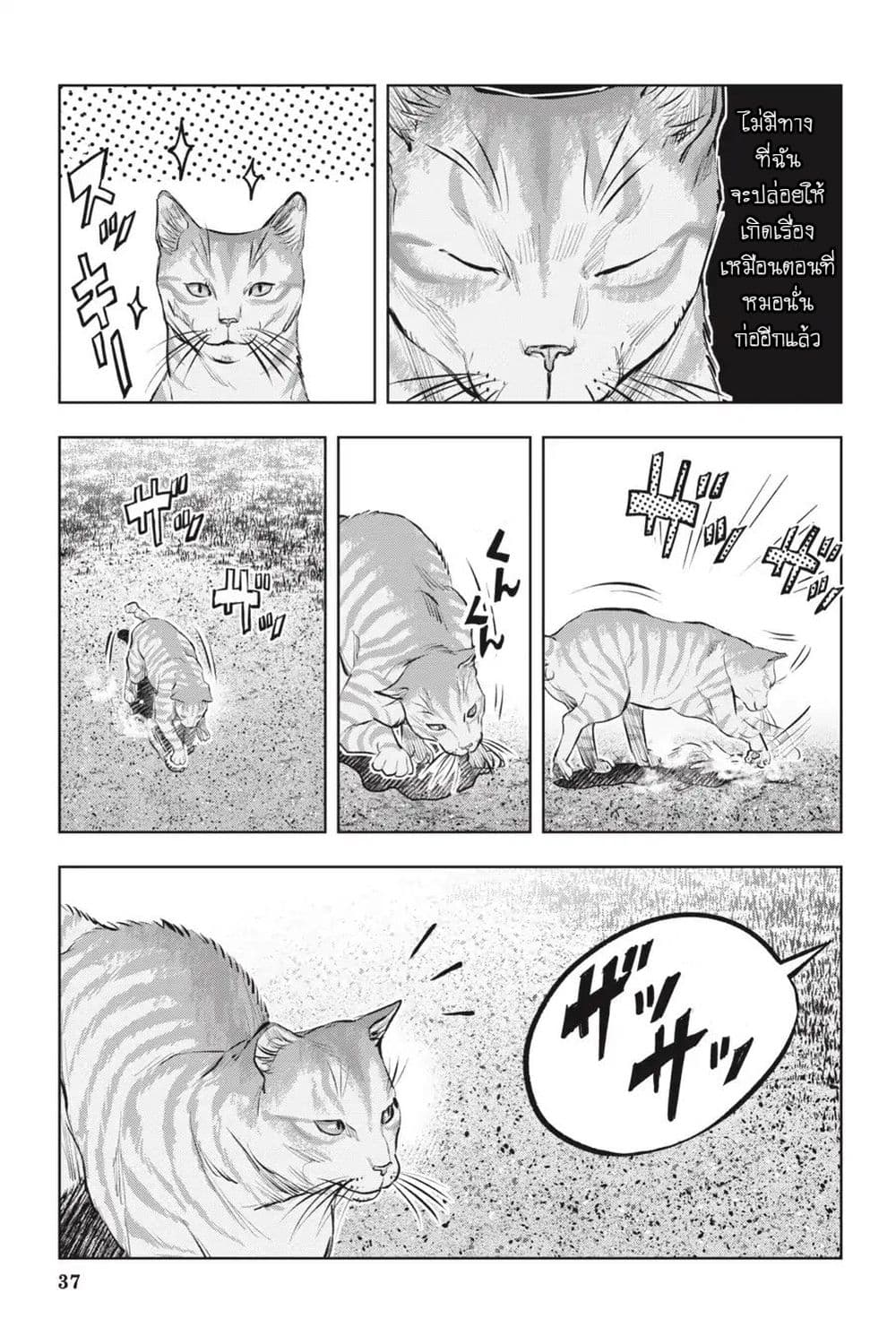 Nyankees 12-พร้อยลุย!