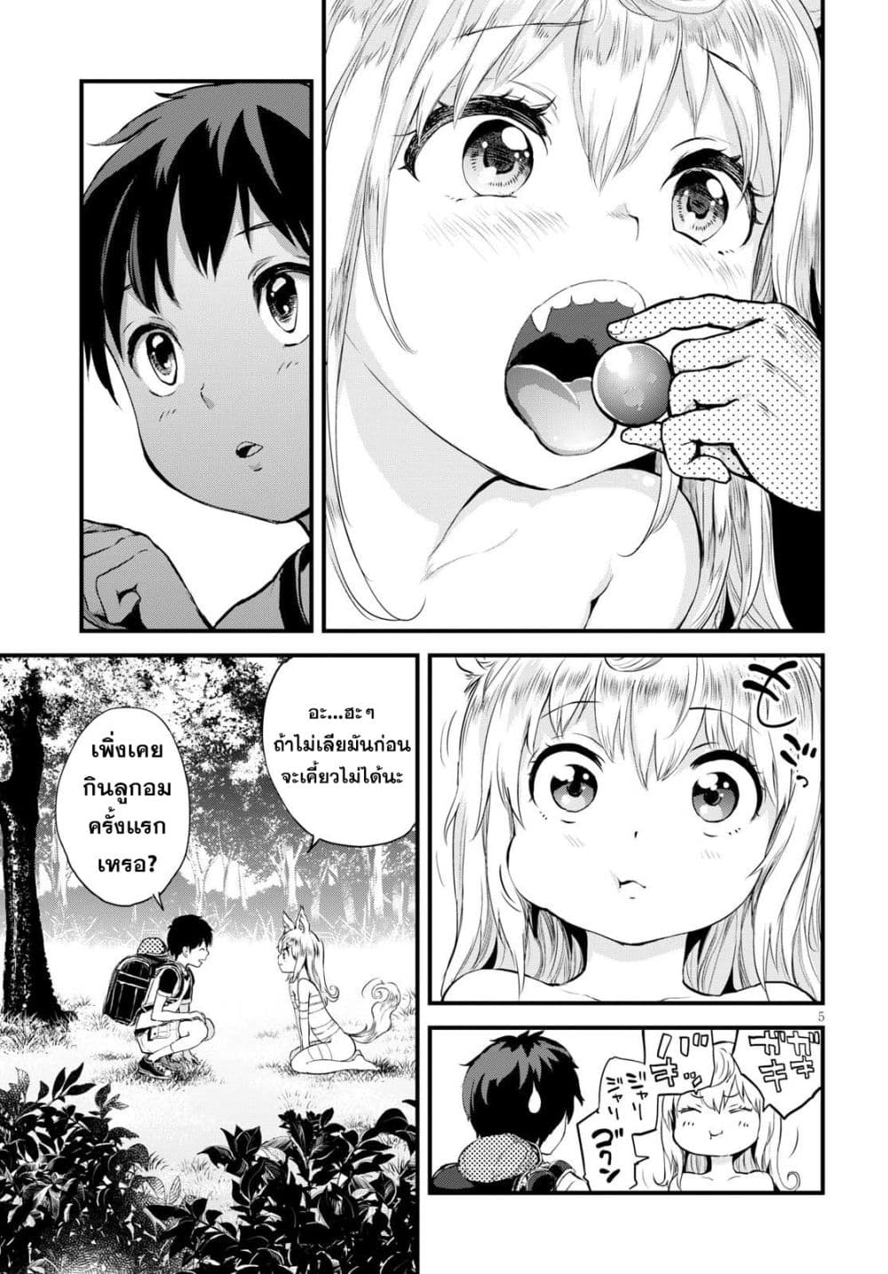 Alcafus 1-การขานรับ