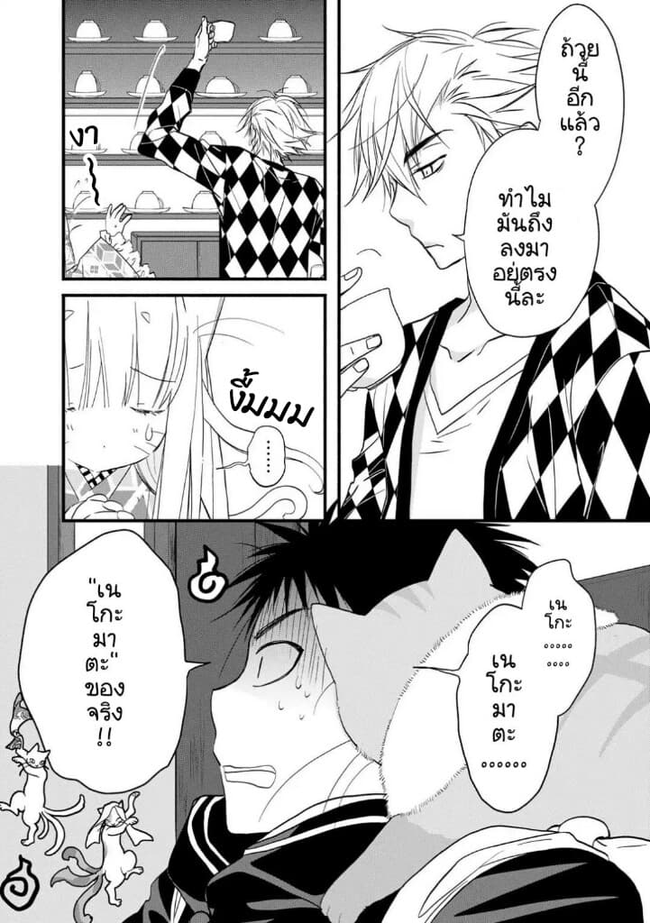 Junkissa Neko 4-4