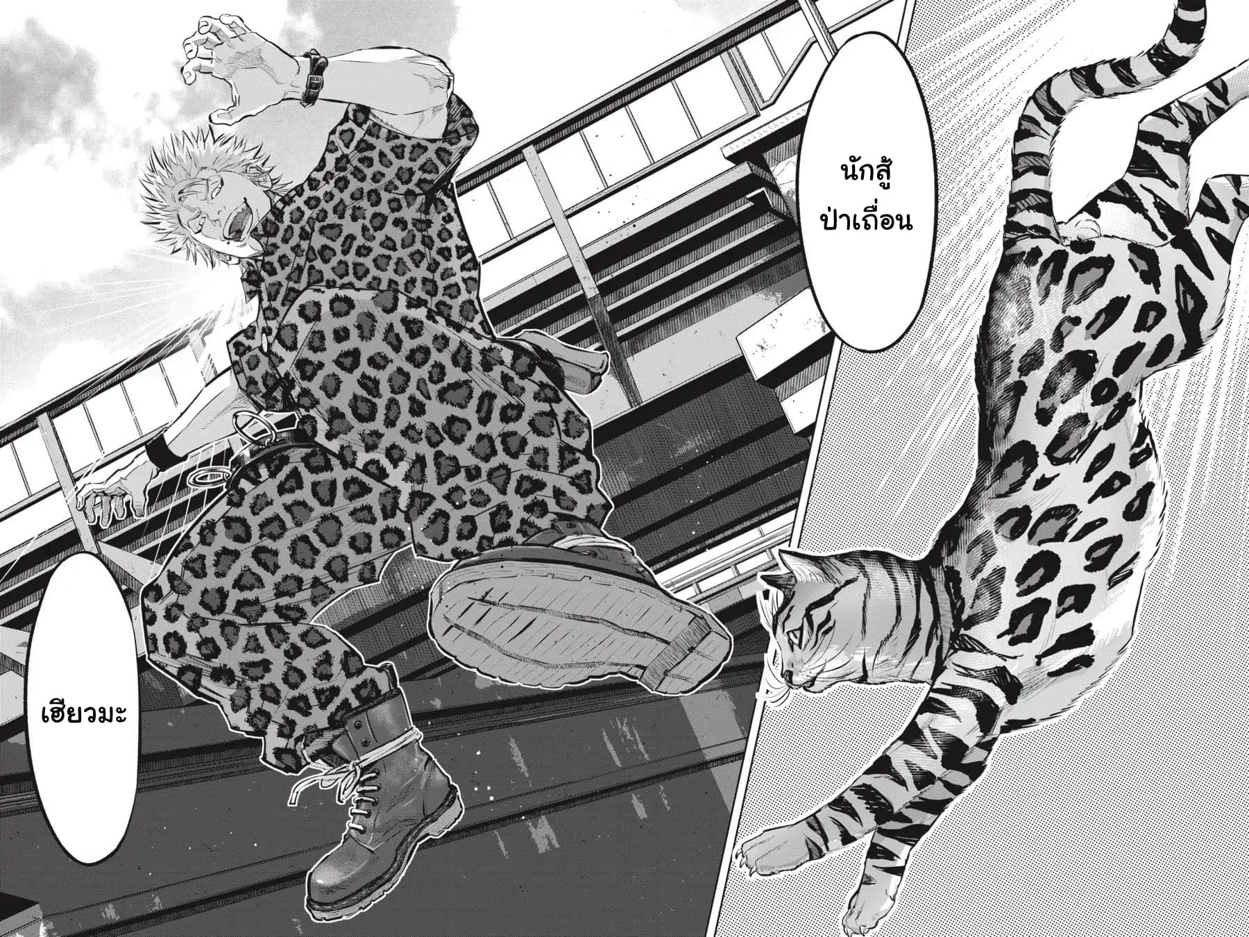 Nyankees 11-แมวน่าสงสัย
