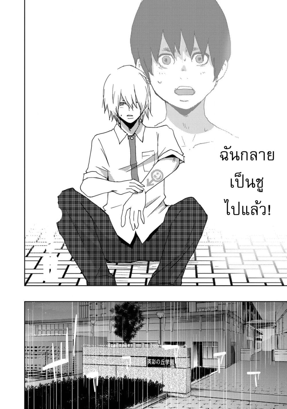 Narikawari 1-1