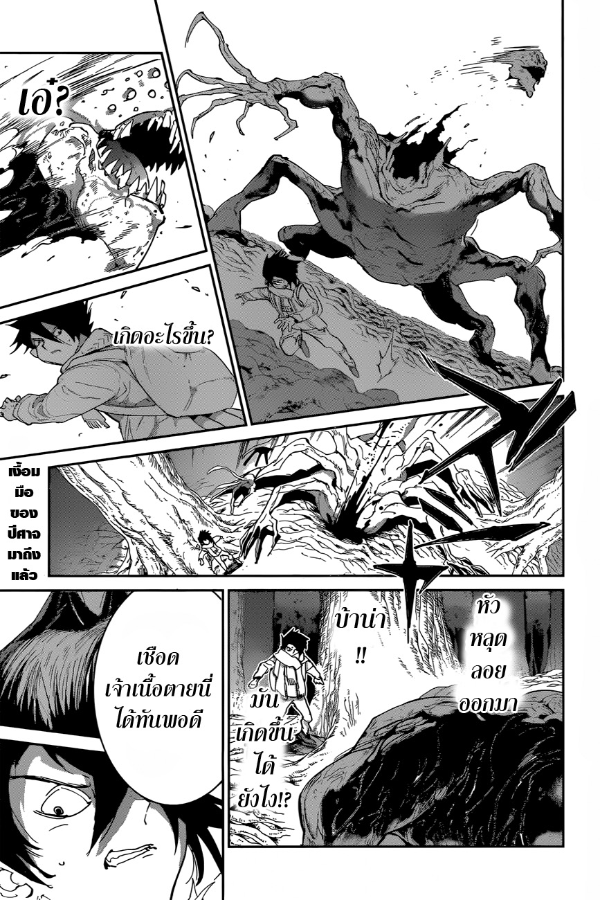 The Promised Neverland 43-81194