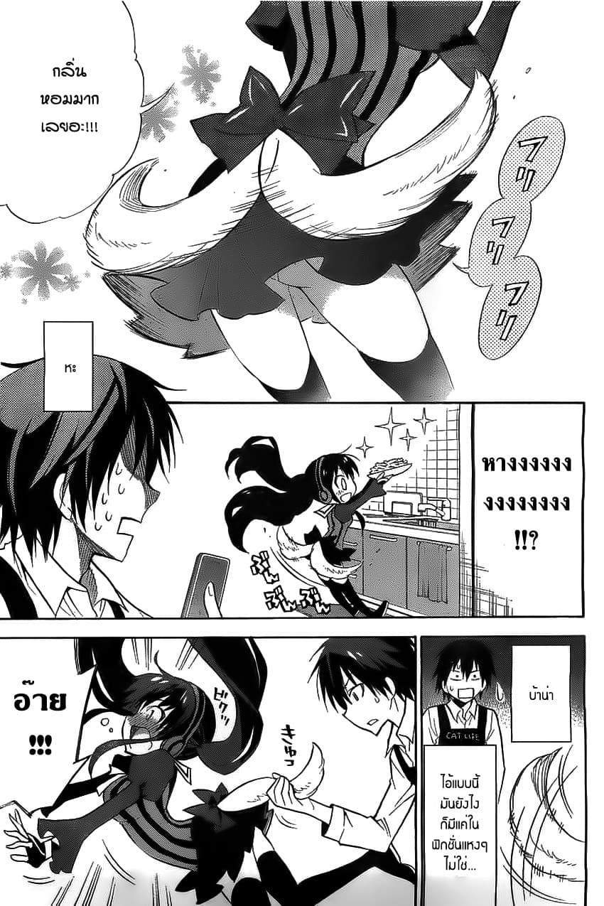 Kyou no Cerberus 0-0