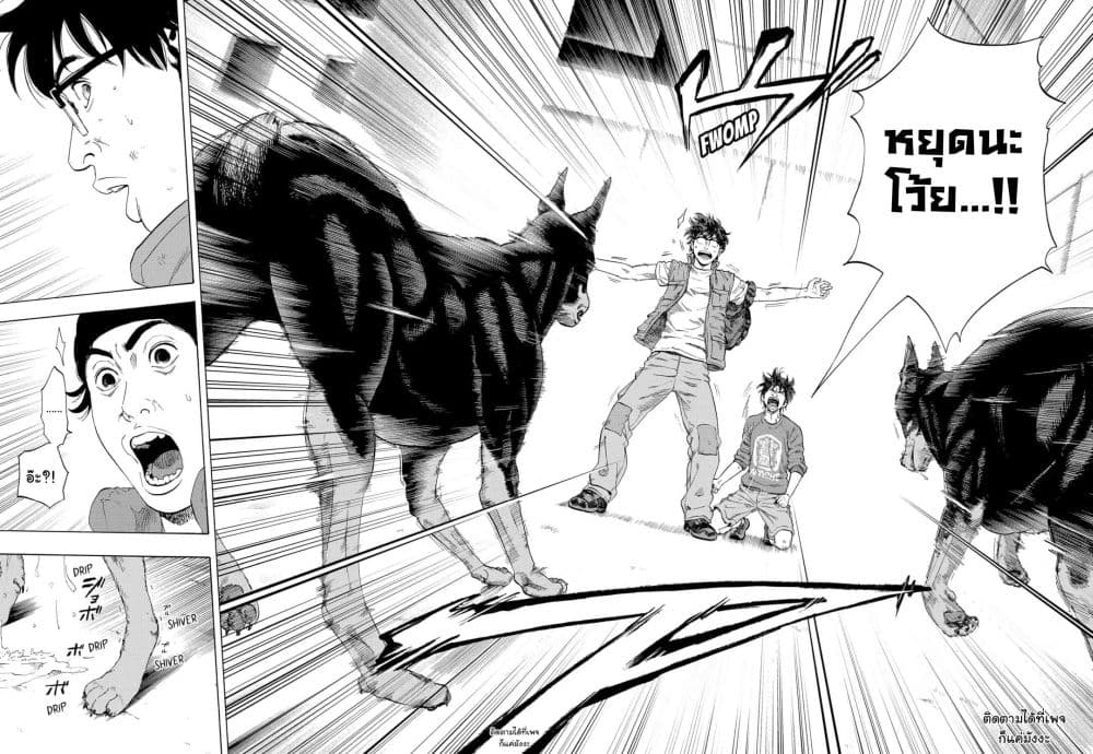 Arata Primal 1-1