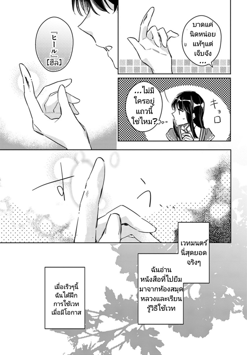 Seijo no Maryoku wa Bannou desu 8-8