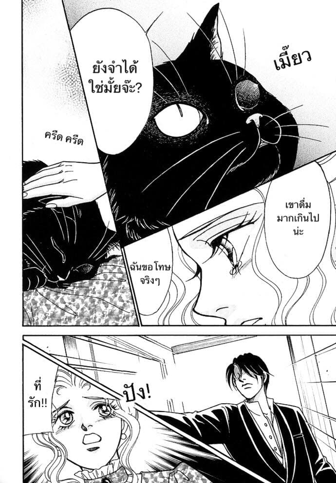 The Black Cat 1-1