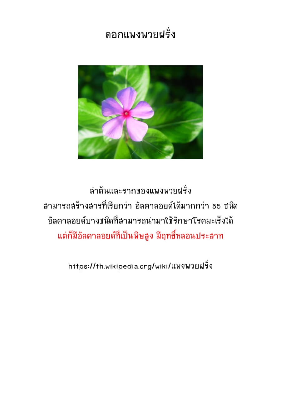Tsumi to Kai ความผิด และ ความสุข 15-ท่าทีที่เปลี่ยนไป และ ความคิดที่เอนเอียง