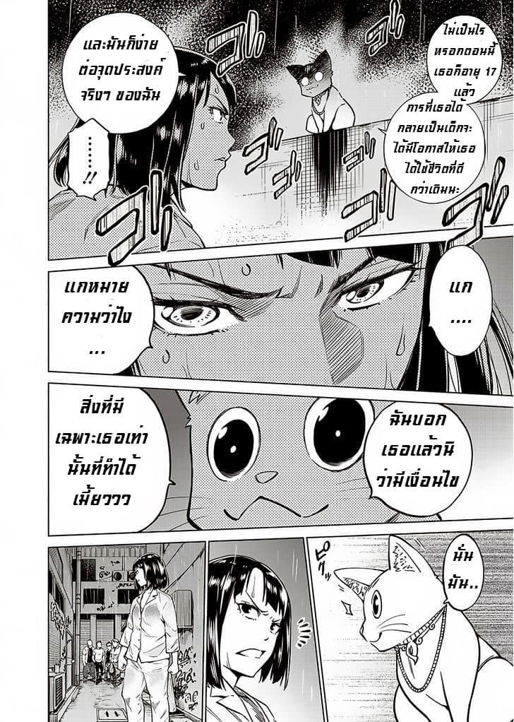 Dolkara 1-1